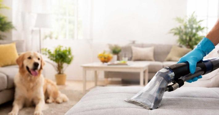Upholstery Cleaning Melbourne