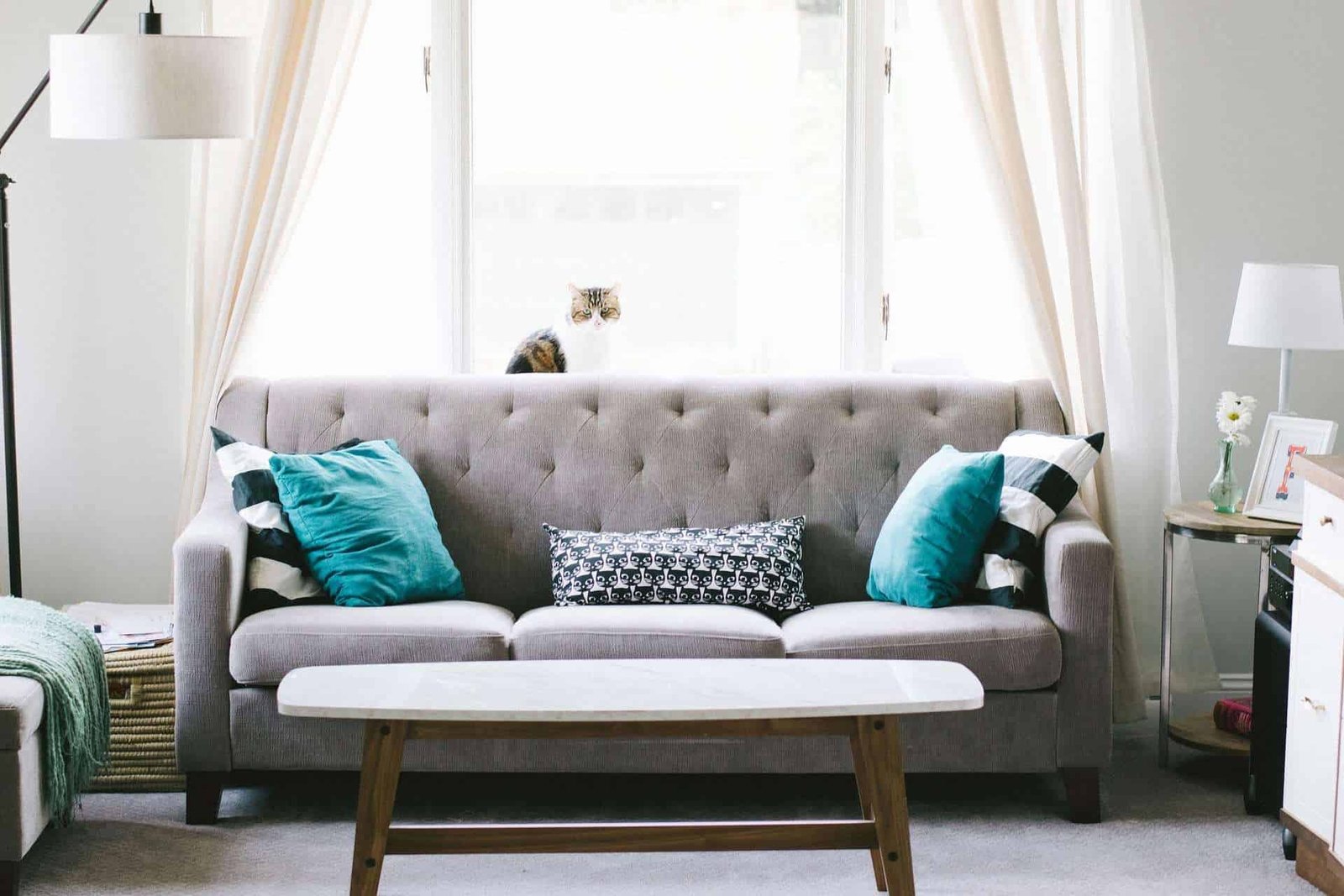 Upholstery Cleaning Melbourne Sofa and Couch Steam Cleaning