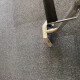 Carpet Steam Cleaning