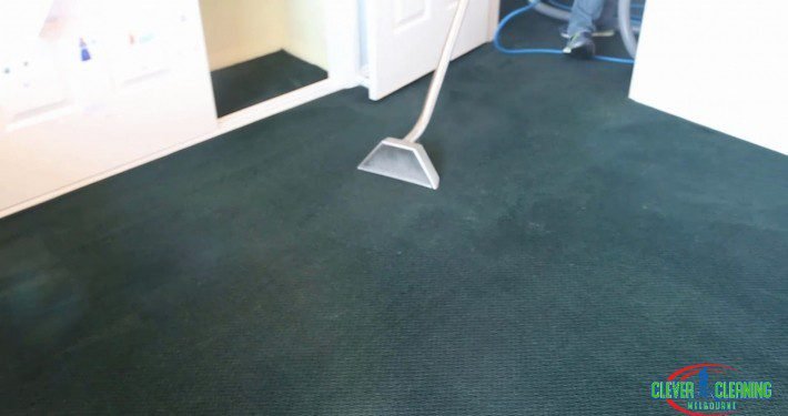 carpet steam cleaner image