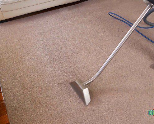 carpet steam cleaning