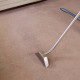 carpet steam cleaning